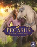 Pegasus Pony with a Broken Wing (2019)