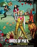 Birds of Prey And the Fantabulous Emancipation of One Harley Quinn (2020)