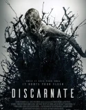 Nonton Discarnate (2018)