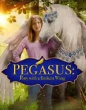 Nonton Pegasus Pony with a Broken Wing (2019)