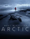 Nonton Arctic (2018)