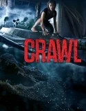 Nonton Crawl (2019)