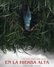 Nonton In the Tall Grass (2019)