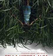 Nonton In the Tall Grass (2019)