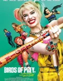 Nonton Birds of Prey (2020)