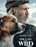 Nonton The Call of the Wild (2020)