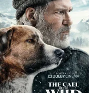 Nonton The Call of the Wild (2020)