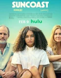 Nonton Suncoast (2024)