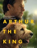 Nonton Arthur the King (2024)