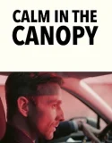 Nonton Calm in the Canopy (2024)