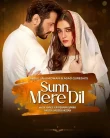 Nonton Sunn Mere Dil (2024)