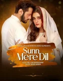 Nonton Sunn Mere Dil (2024)