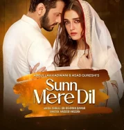 Nonton Sunn Mere Dil (2024)