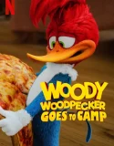 Nonton Woody Woodpecker Goes to Camp (2024)