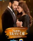 NONTON – Sunn Mere Dil (2024)