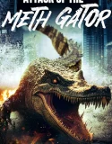 Nonton Attack of the Meth Gator (2024)