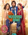 Nonton Mere Husband Ki Biwi (2025)