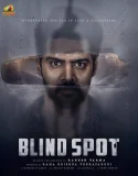 Nonton Blind Spot (2025)