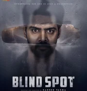 Nonton Blind Spot (2025)