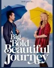 Nonton A Big Bold Beautiful Journey (2025)