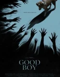 Nonton Good Boy (2025)