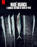 Nonton Turn of the Tide The Surreal Story of Rabo de Peixe (2025)