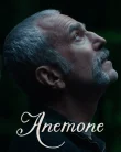 Nonton Anemone (2025)