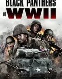 Nonton Black Panthers of WWII (2025)