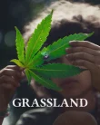 Nonton Grassland (2025)