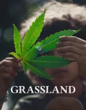 Nonton Grassland (2025)