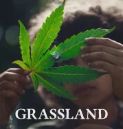 Nonton Grassland (2025)