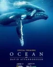 Nonton Ocean with David Attenborough (2025)