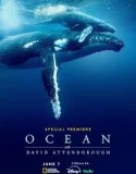 Nonton Ocean with David Attenborough (2025)