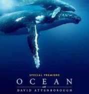 Nonton Ocean with David Attenborough (2025)
