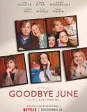 Nonton Goodbye June (2025)