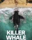 Nonton Killer Whale (2026)