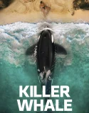 Nonton Killer Whale (2026)