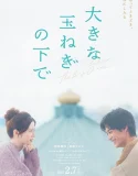 Nonton Ookina Tamanegi No Shita De (2025)