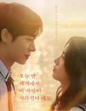 Nonton Even if This Love Disappears from the World Tonight (2025) Sub Indo