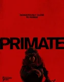 Nonton Primate (2025) Sub Indo