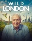 Nonton Wild London (2026) Sub Indo