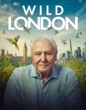 Nonton Wild London (2026) Sub Indo