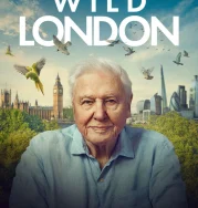 Nonton Wild London (2026) Sub Indo
